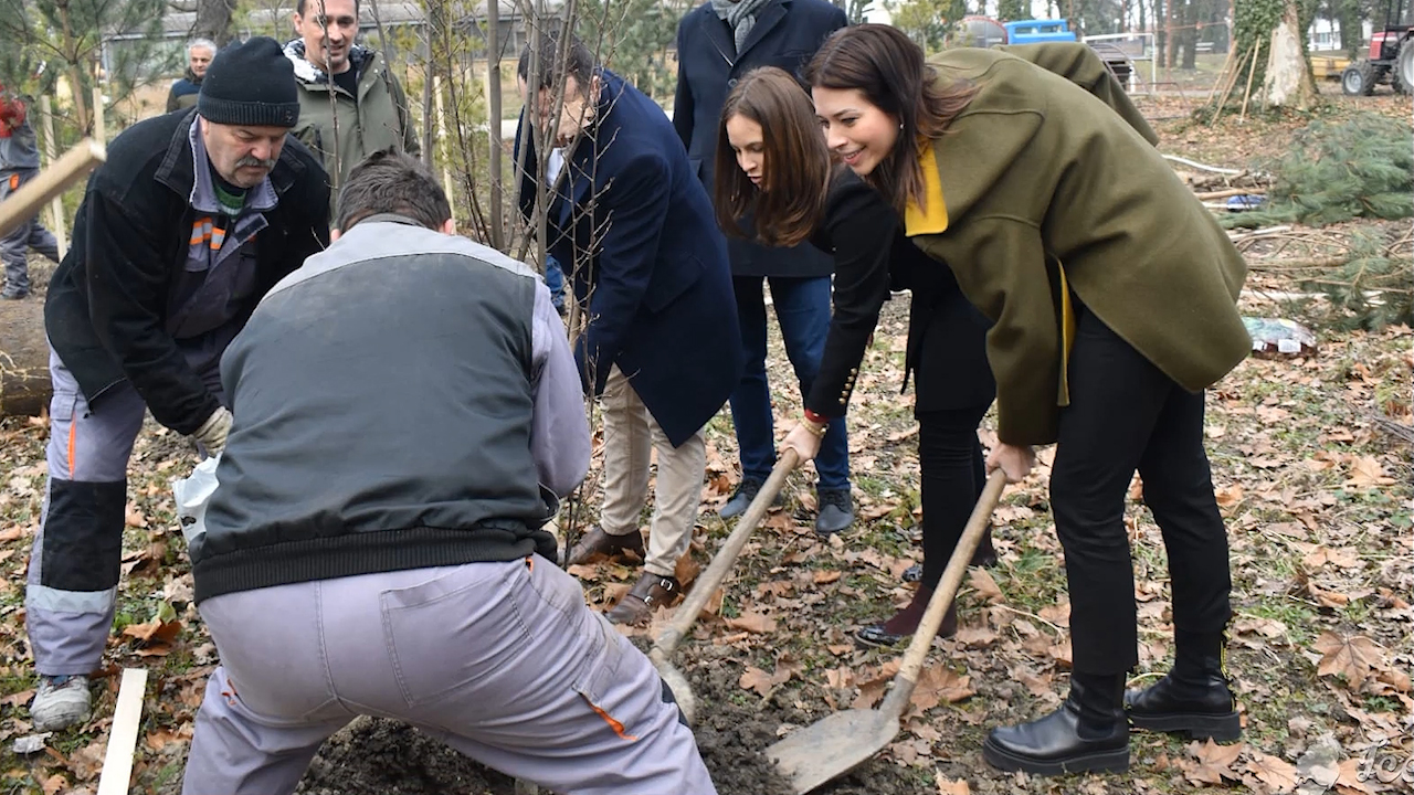 Pošumljavanje je samo prva faza