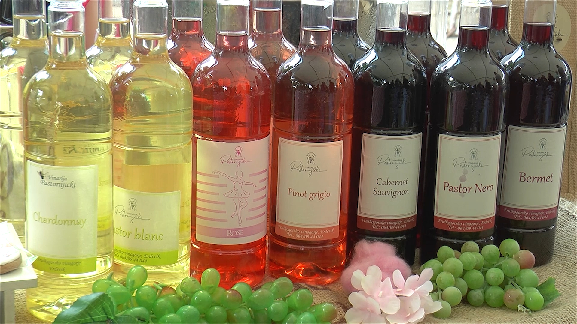 Izbor najboljih vina Fruškogorja