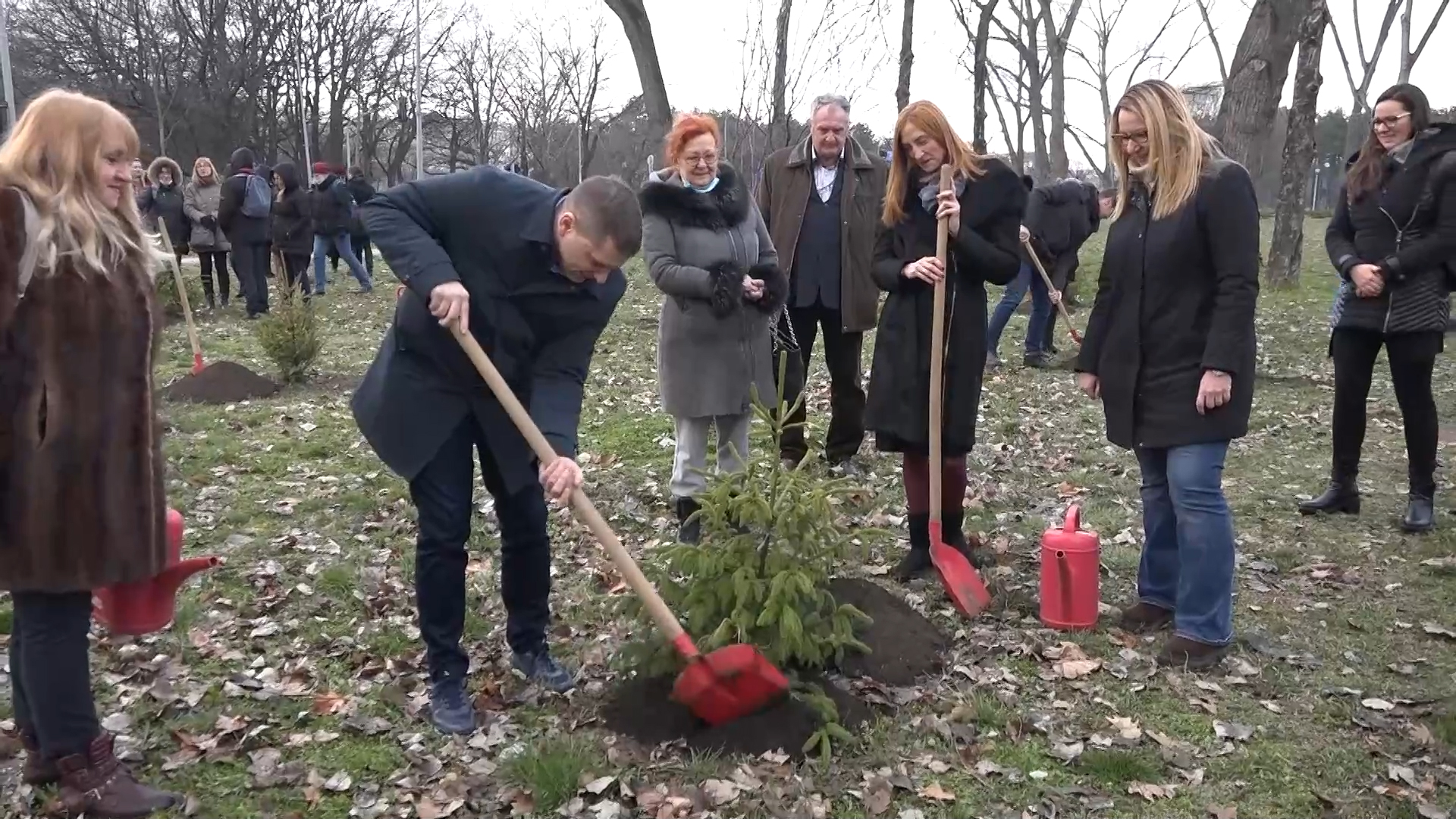 Beograd radi na povećanju šumskog fonda