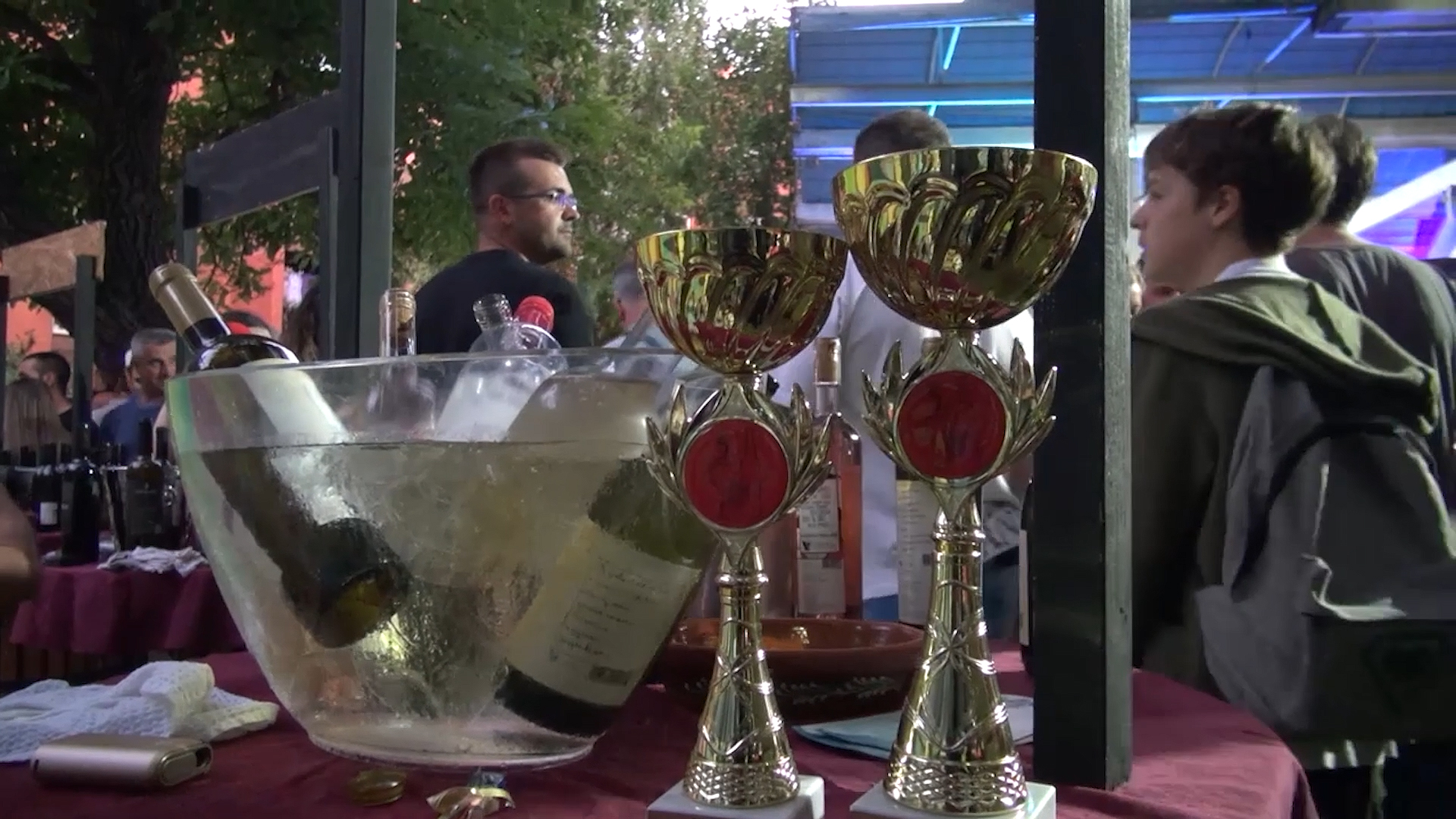 Održan 5. Festival fruškogorskih vina