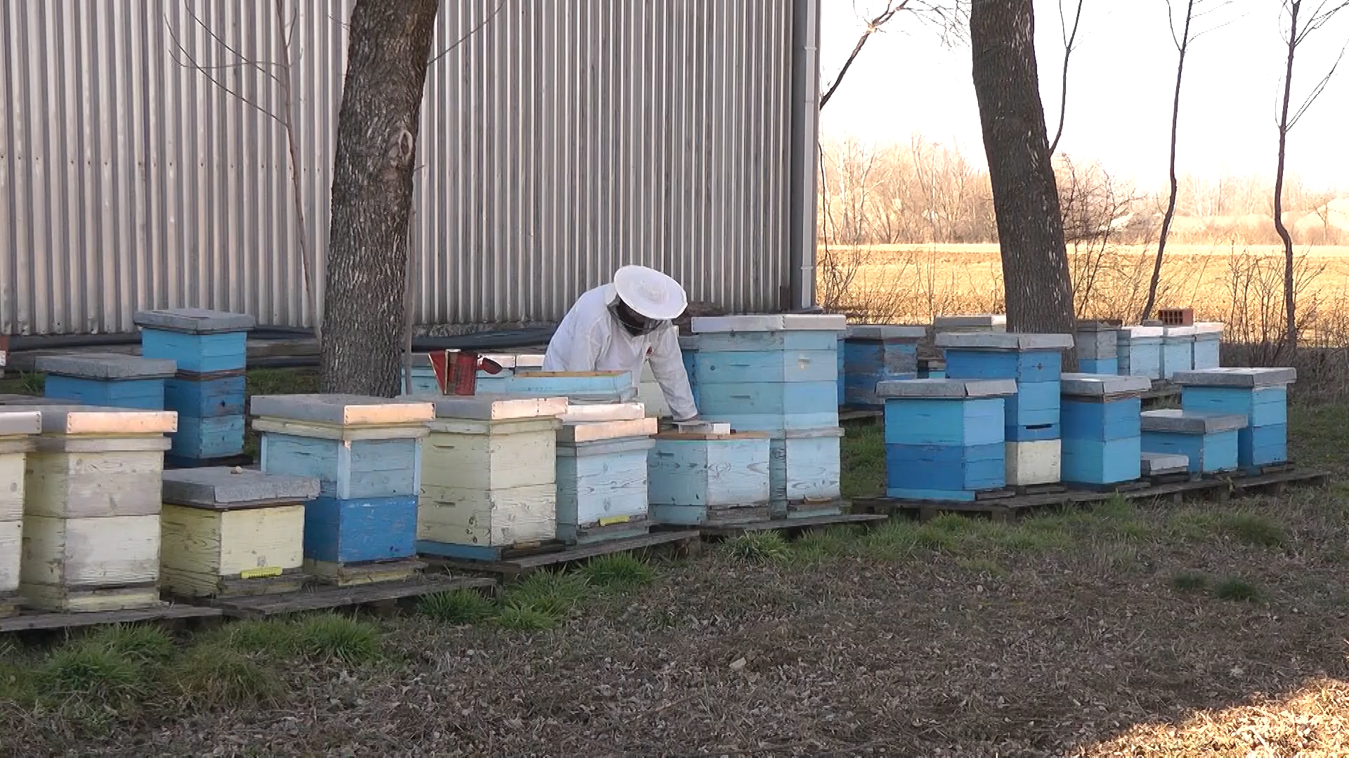 Pčelarski radovi u februaru