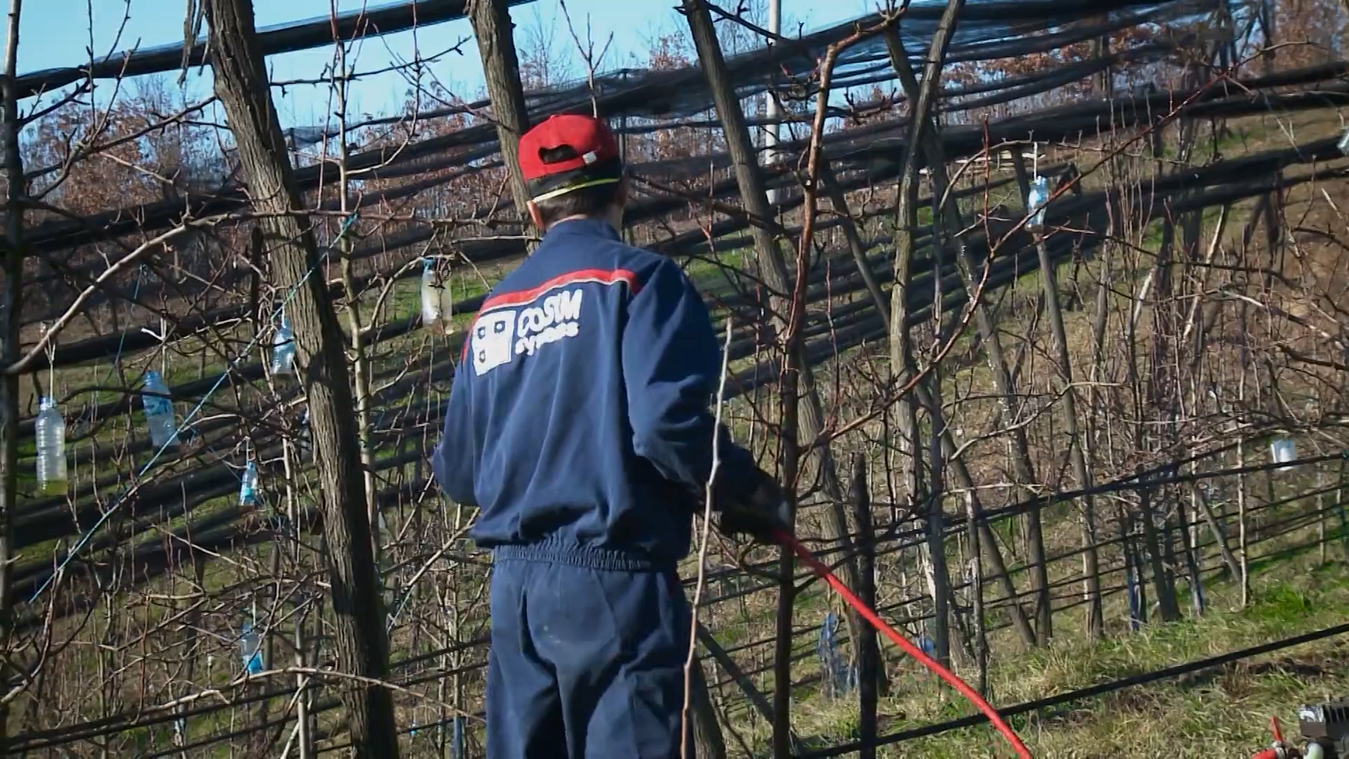 Inovacije u zimskom prskanju voćaka