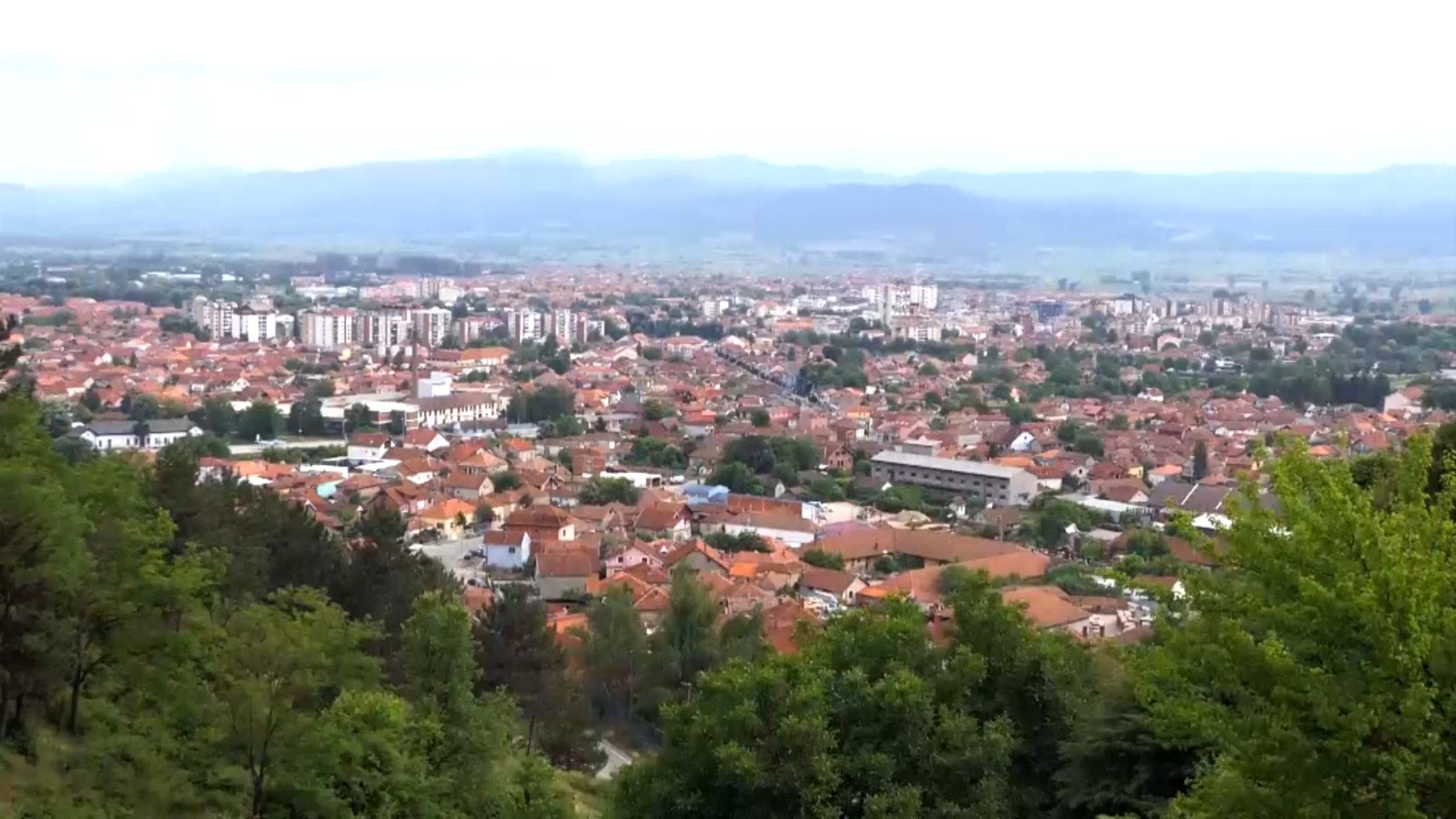 U Pirotu za poljoprivredu 56 miliona dinara