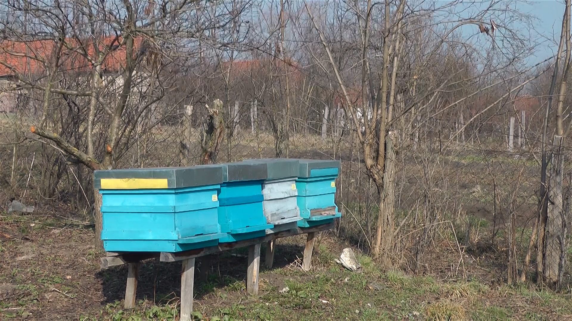 Puno posla za pčelare tokom aprila