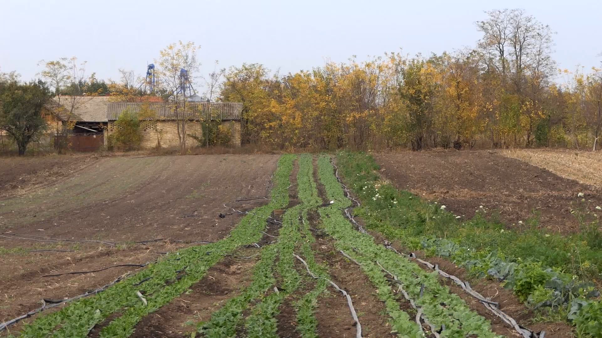 Vodič u nove propise za organsku proizvodnju