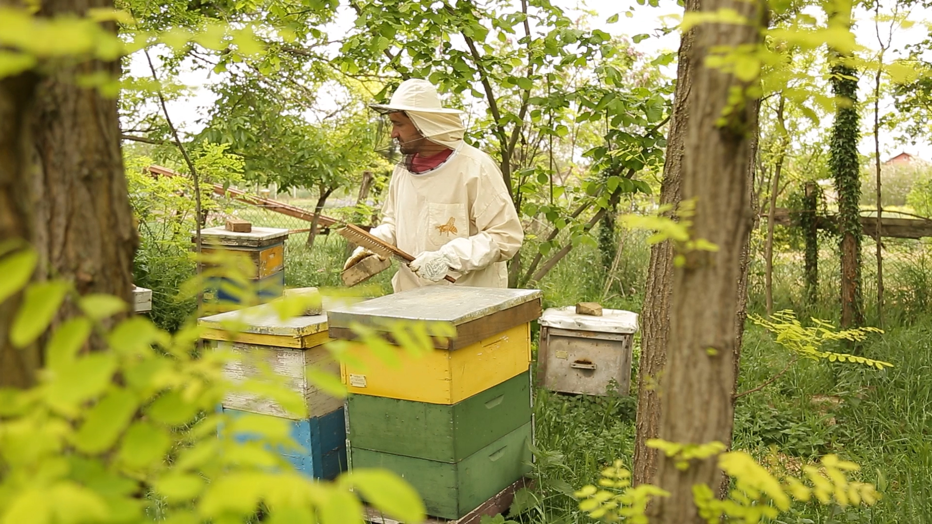 Sombor konkursom pomaže razvoj pčelarstva