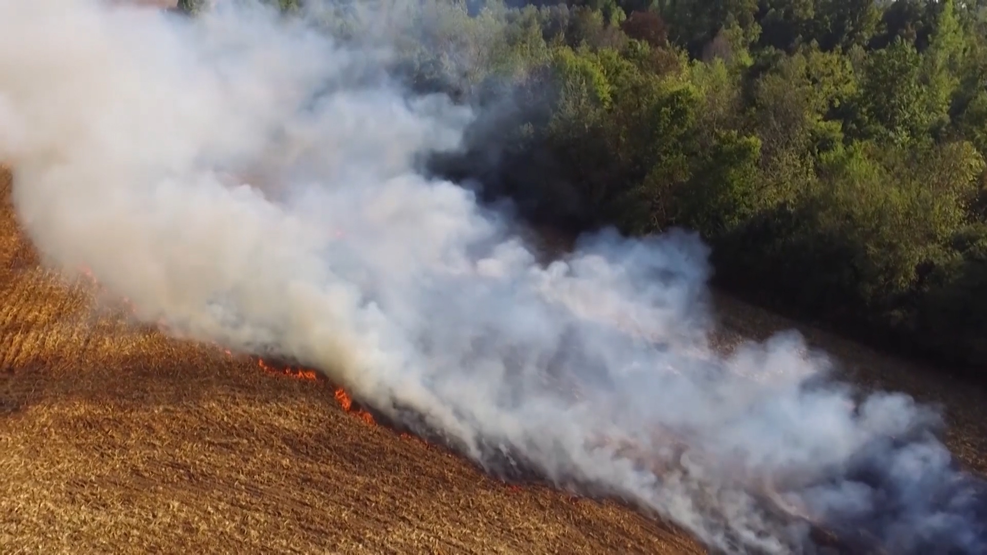 Opština Kula objavila naredbu o zabrani paljenja slame i strnjike