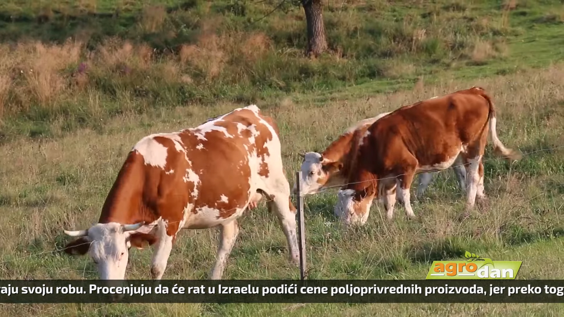 Agro DAN – sreda, 18.10.2023.