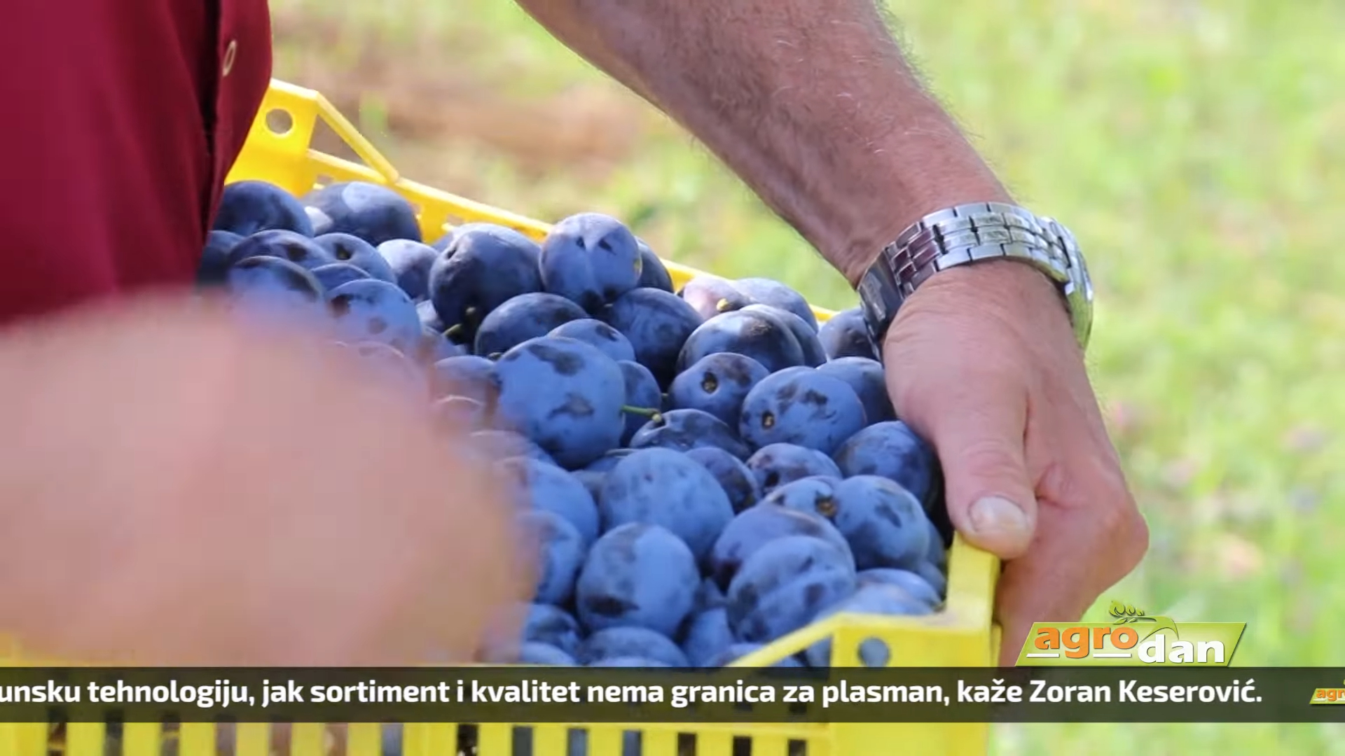 Agro DAN – petak, 20.10.2023.