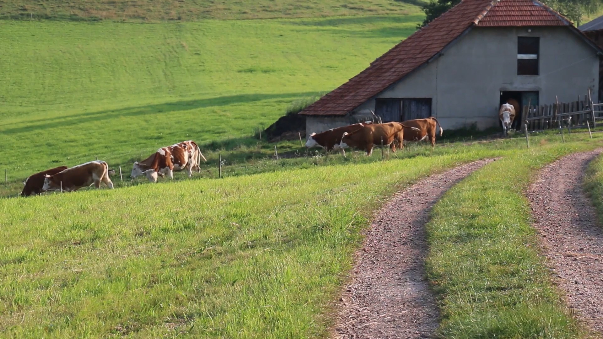 Agro DAN za četvrtak, 09.11.2023.