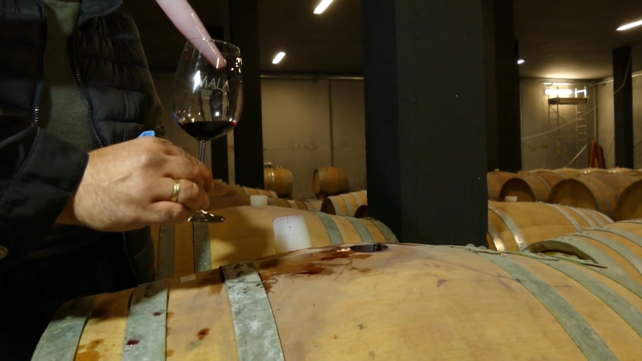 Delegacija „Wine Vision“ istražuje Oplenačko vinogorje