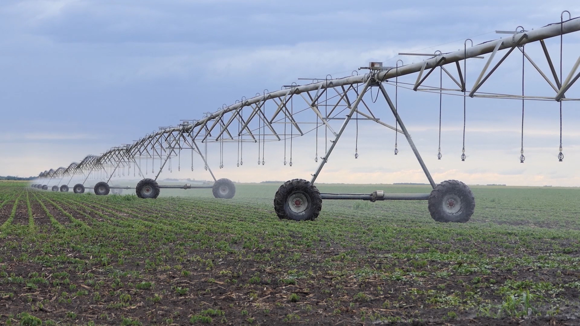 Agro DAN za petak, 8.12.2023.