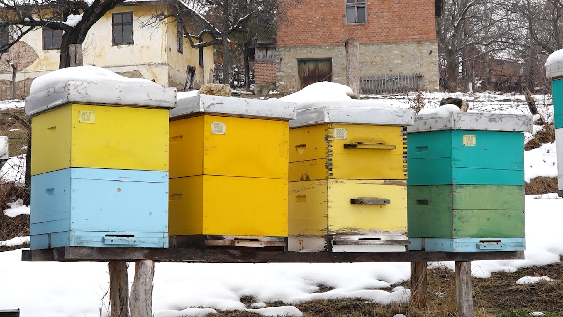 SPOS dobio projekat EU za unapređenje zaštite pčela i plasmana meda