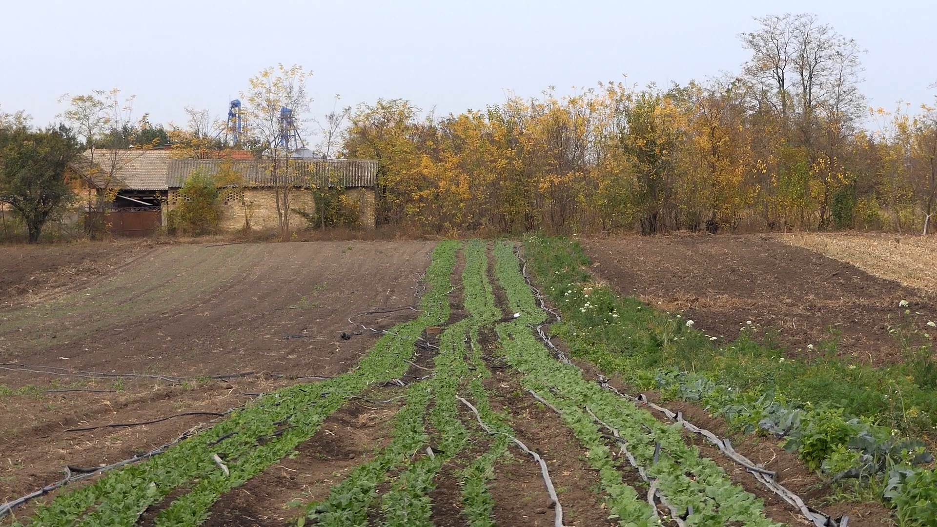 EU daleko od planiranih površina pod organskom proizvodnjom