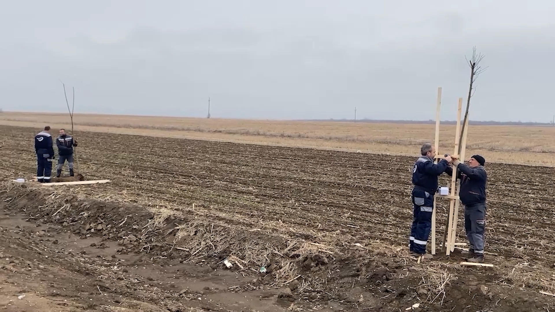 Projekat „Velika sadnja“ ozelenjava Sremsku Mitrovicu