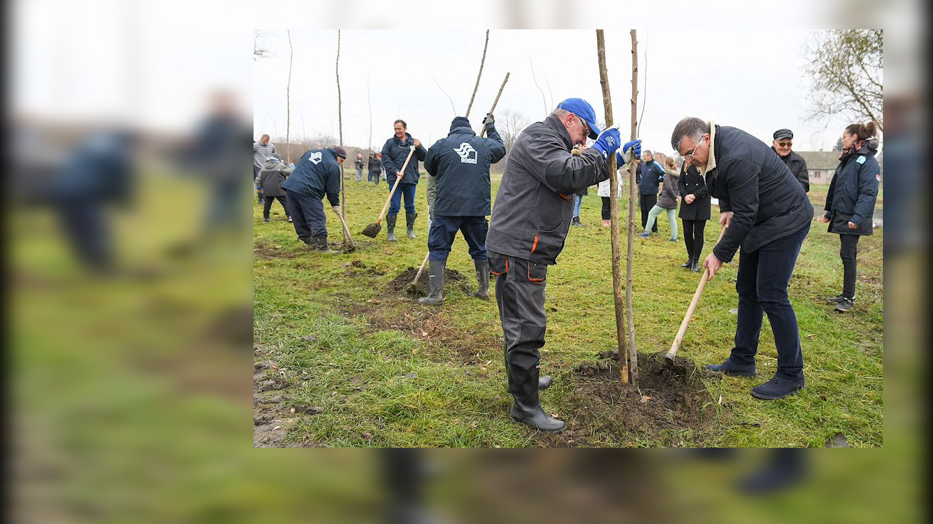 Počela ovogodišnja akcija pošumljavanja i poribljavanja u Vojvodini