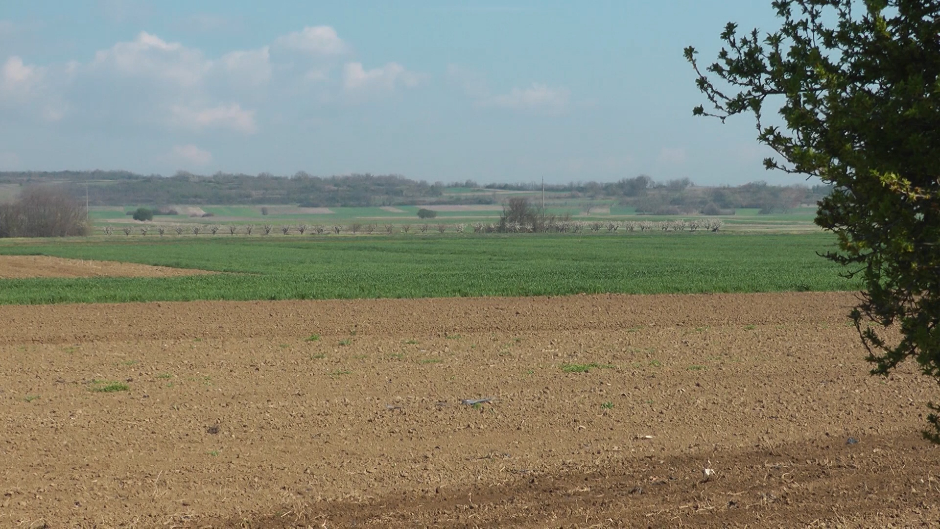 Agro dan za četvrtak, 22.2.2024.