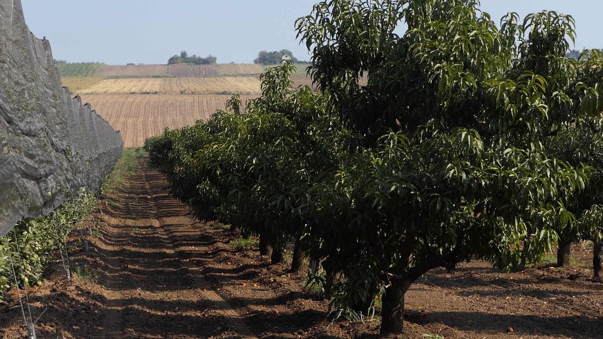 Agro DAN za petak, 23.2.2024.