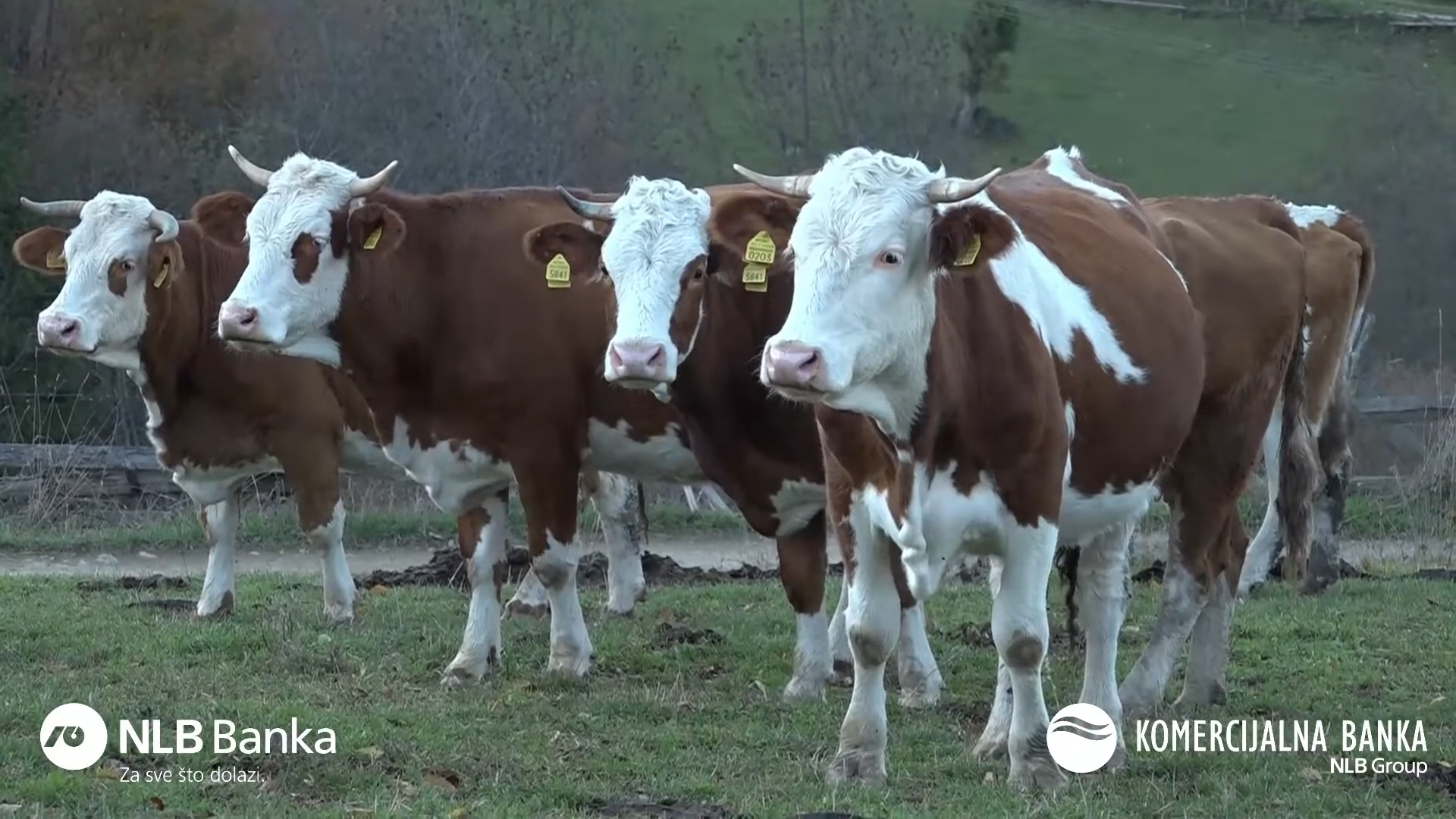 Isplaćen prvi subvencionisani agro kredit u ovoj godini
