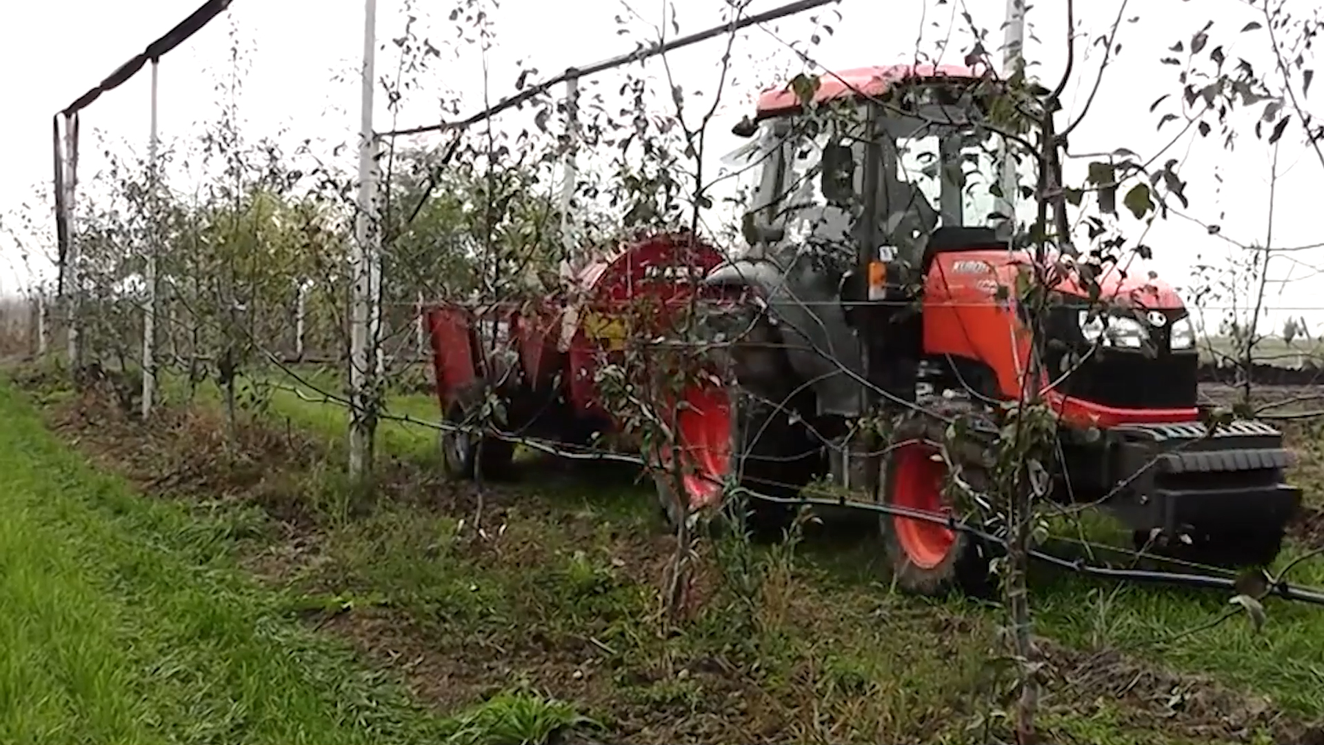 Đubrenje zasada važna mera za obilan rod voća