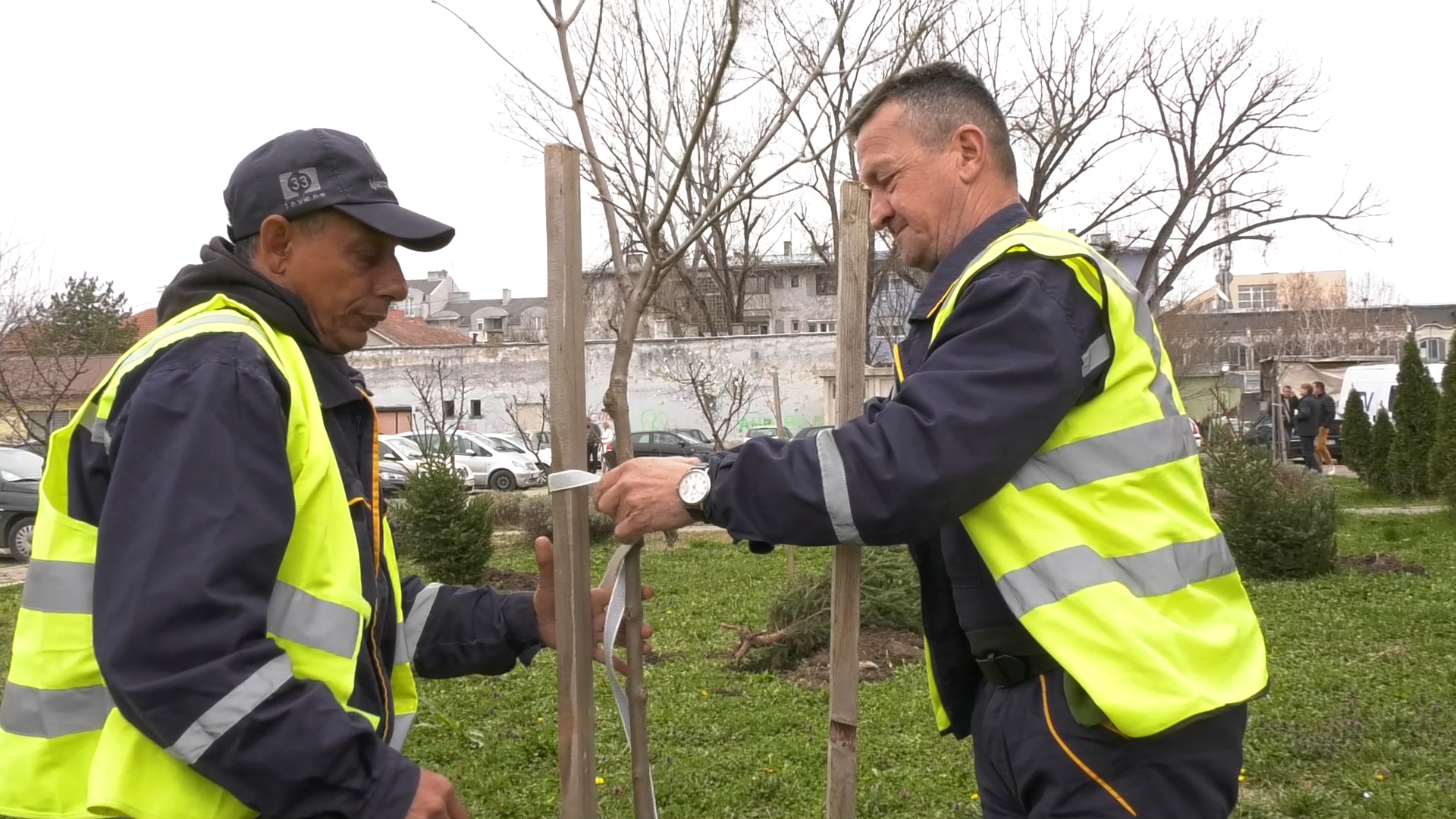 Akcija „Za šumu u tvom kraju” stigla i u Staru Pazovu