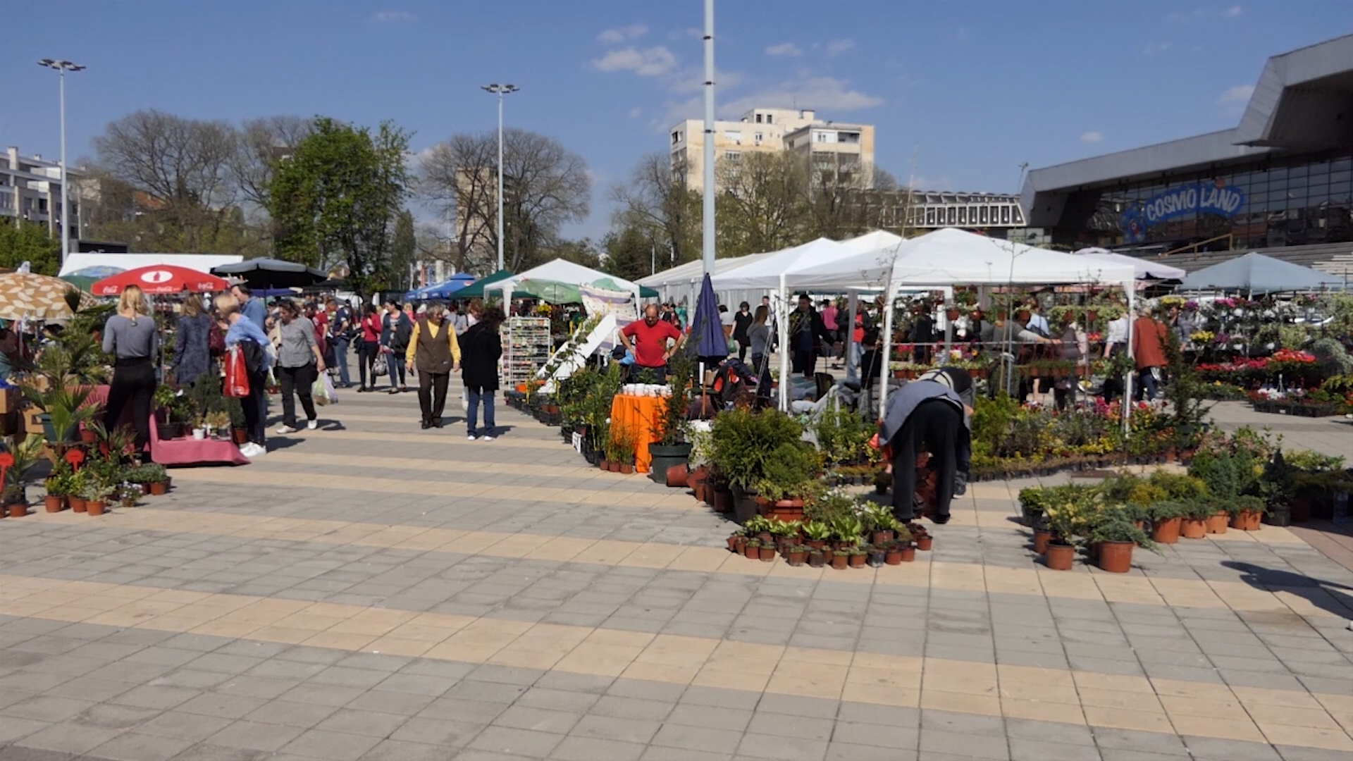 Počinje novi ciklus novosadskih cvetnih pijaca