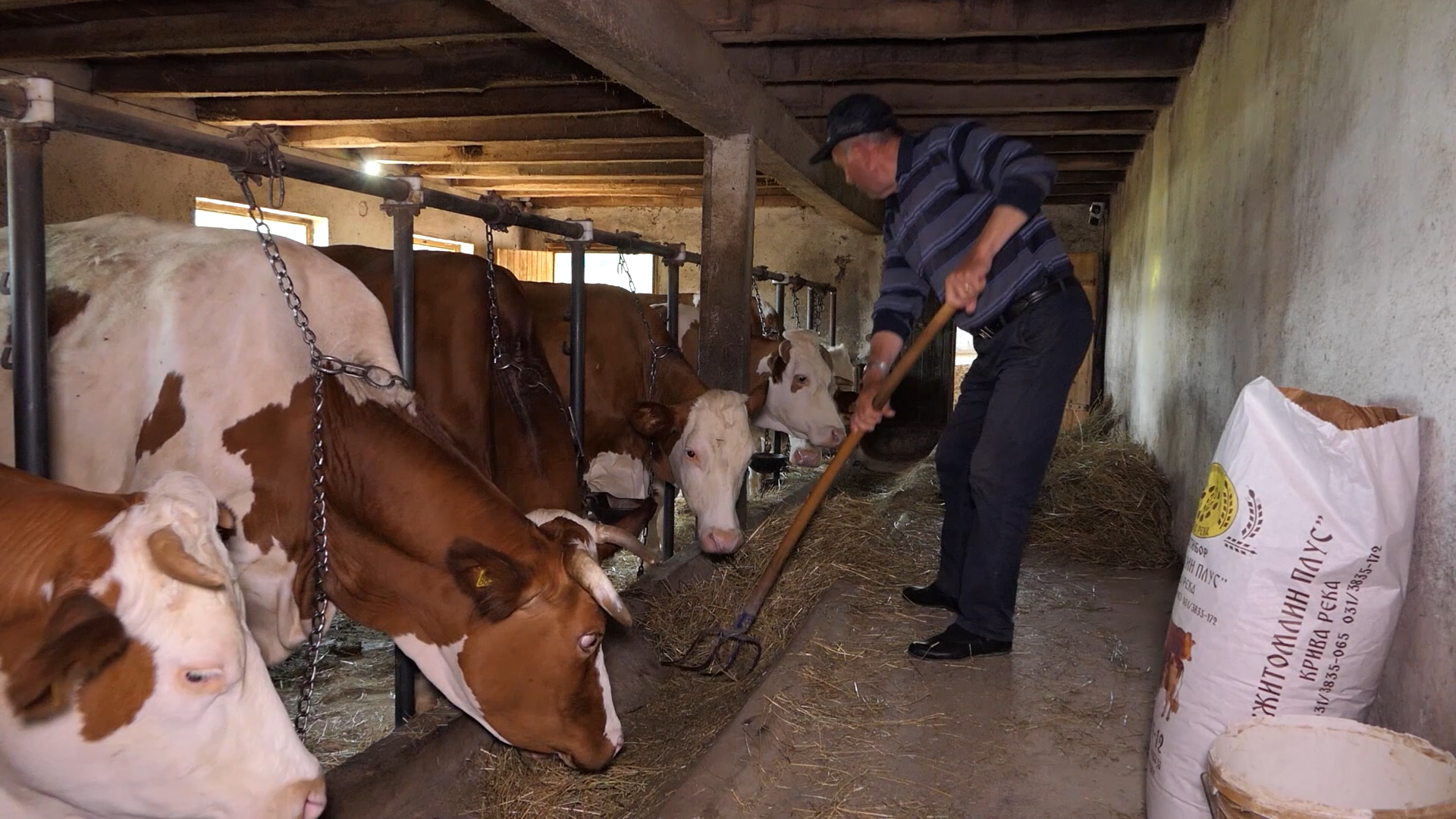 Agro DAN za utorak, 23.4.2024.