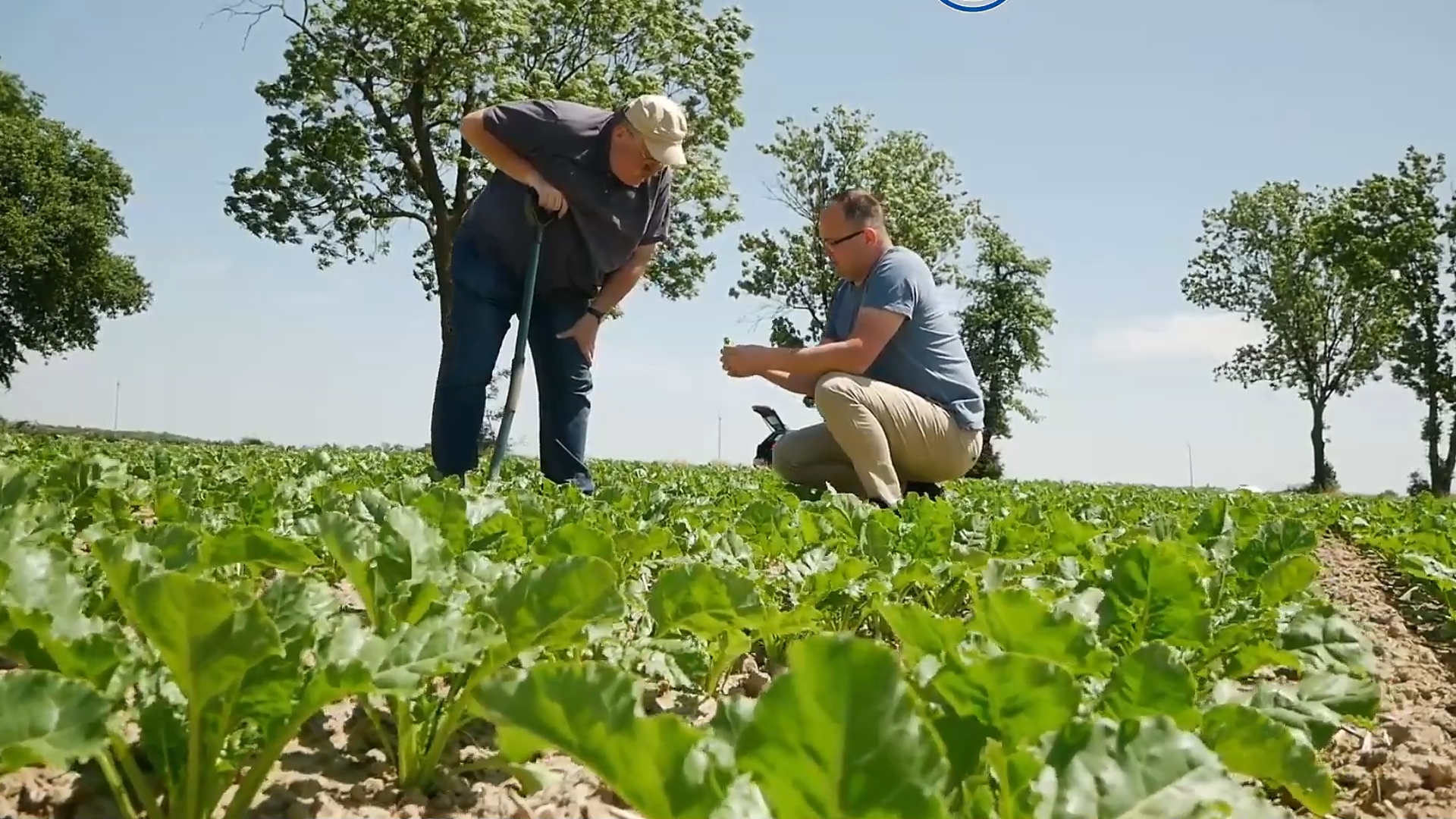 Agro DAN za četvrtak, 25.4.2024.