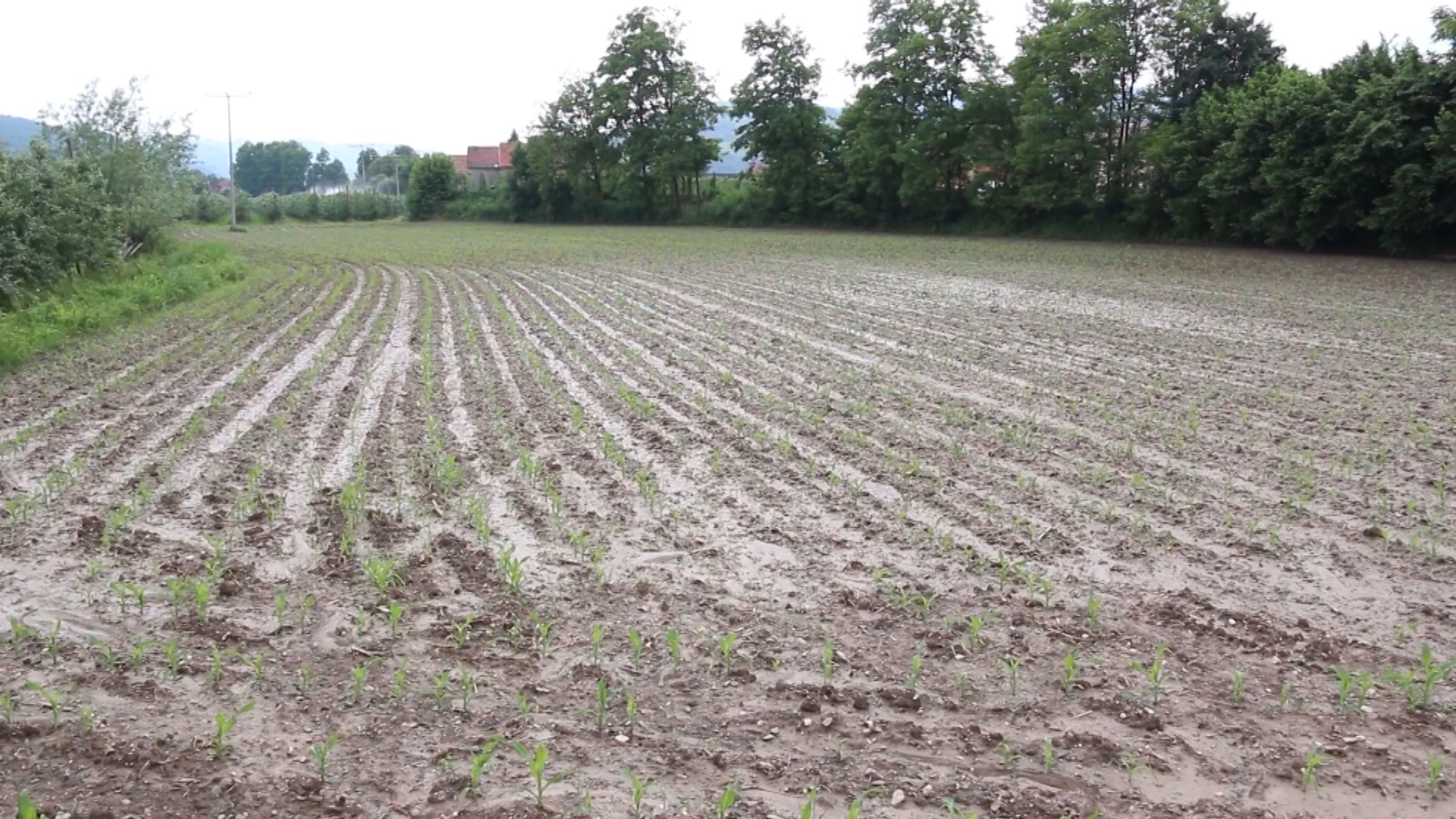 Osiguranje useva jedina potpuna zaštita