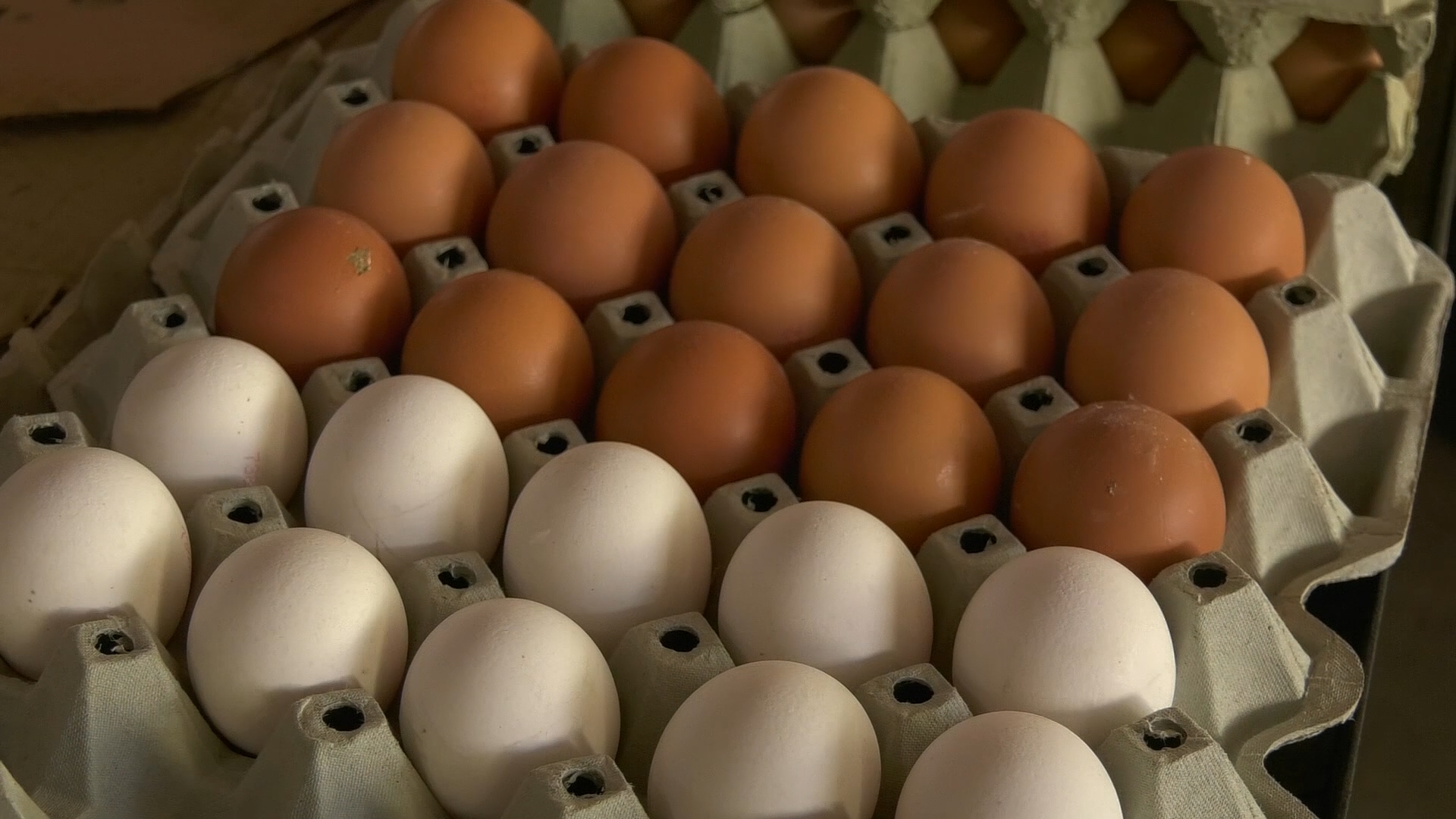 Šarenolika cena jaja pred Uskrs