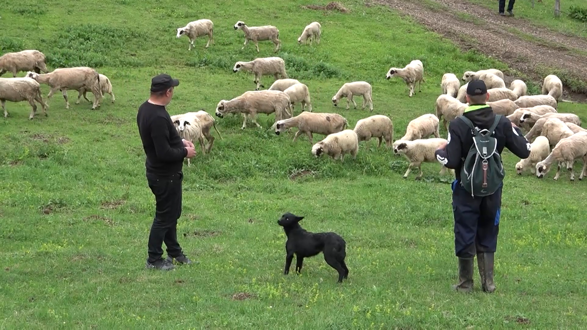 Agro DAN za ponedeljak, 13.5.2024.